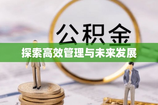 雾峰探索高效管理与未来发展