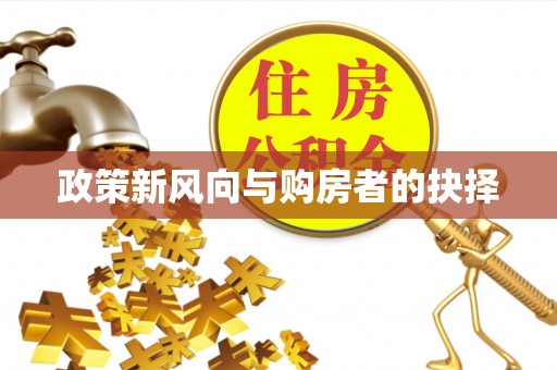 雾峰政策新风向与购房者的抉择