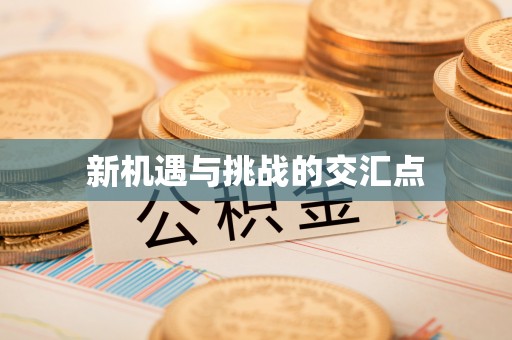雾峰新机遇与挑战的交汇点