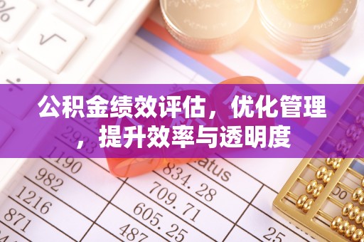 雾峰公积金绩效评估，优化管理，提升效率与透明度