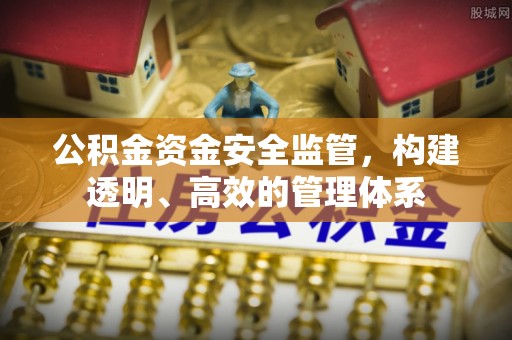 雾峰公积金资金安全监管，构建透明、高效的管理体系