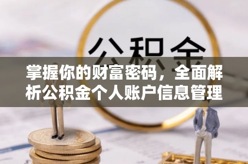 雾峰掌握你的财富密码，全面解析公积金个人账户信息管理
