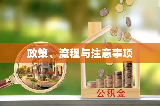 雾峰政策、流程与注意事项