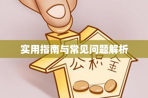 雾峰实用指南与常见问题解析