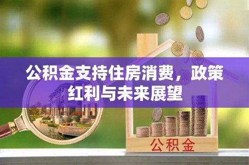 雾峰公积金支持住房消费，政策红利与未来展望