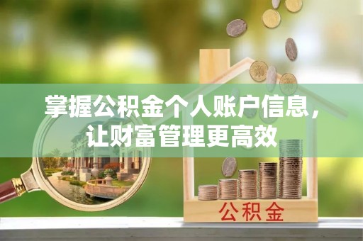 雾峰掌握公积金个人账户信息，让财富管理更高效