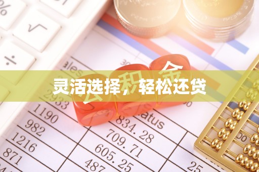 雾峰灵活选择，轻松还贷