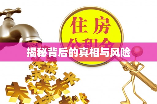 雾峰揭秘背后的真相与风险