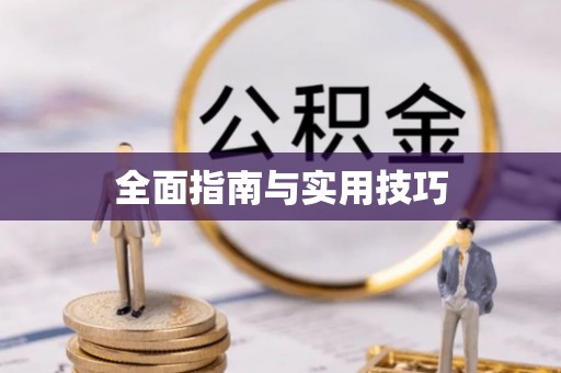 雾峰全面指南与实用技巧