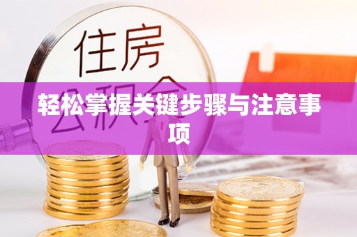 雾峰轻松掌握关键步骤与注意事项