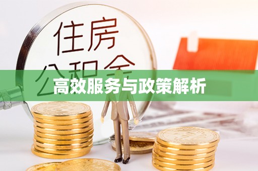 雾峰高效服务与政策解析