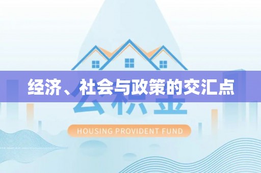 雾峰经济、社会与政策的交汇点