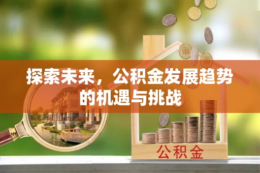 雾峰探索未来，公积金发展趋势的机遇与挑战