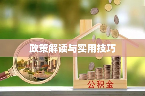 雾峰政策解读与实用技巧
