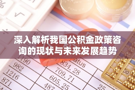 雾峰深入解析我国公积金政策咨询的现状与未来发展趋势