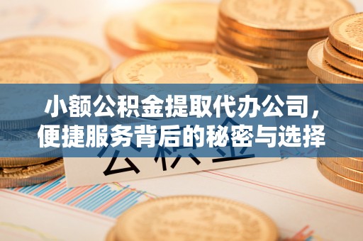 雾峰小额公积金提取代办公司，便捷服务背后的秘密与选择指南