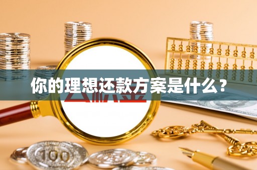 雾峰你的理想还款方案是什么？