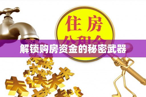雾峰解锁购房资金的秘密武器