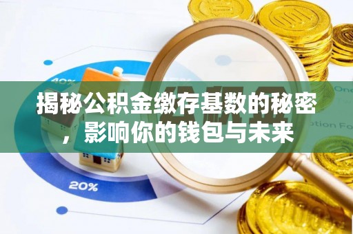 雾峰揭秘公积金缴存基数的秘密，影响你的钱包与未来