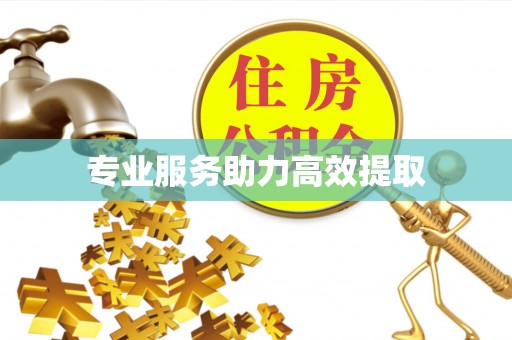 雾峰专业服务助力高效提取