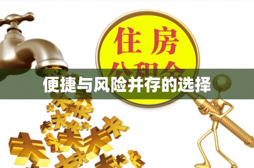 雾峰便捷与风险并存的选择