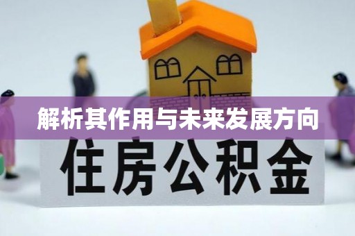 雾峰解析其作用与未来发展方向