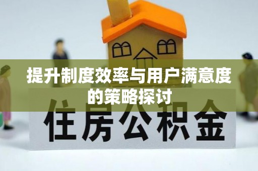 雾峰提升制度效率与用户满意度的策略探讨
